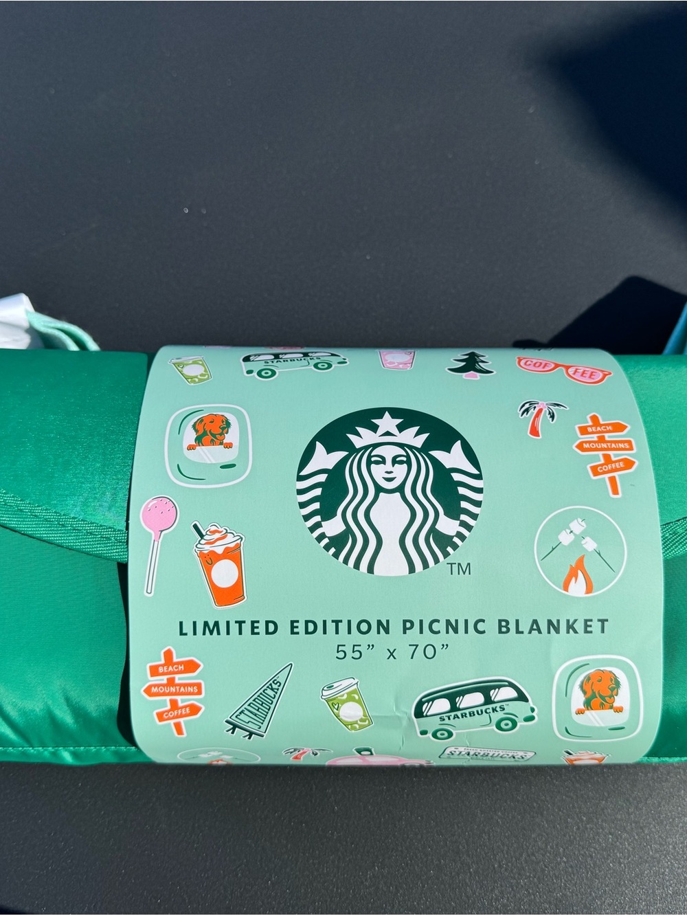 Starbucks Mint & Emerald Picnic Blanket with Sticker Graphics